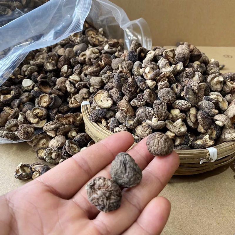 珍珠菇迷你小干香菇小个小香菇干货西峡香菇散装商用批发
