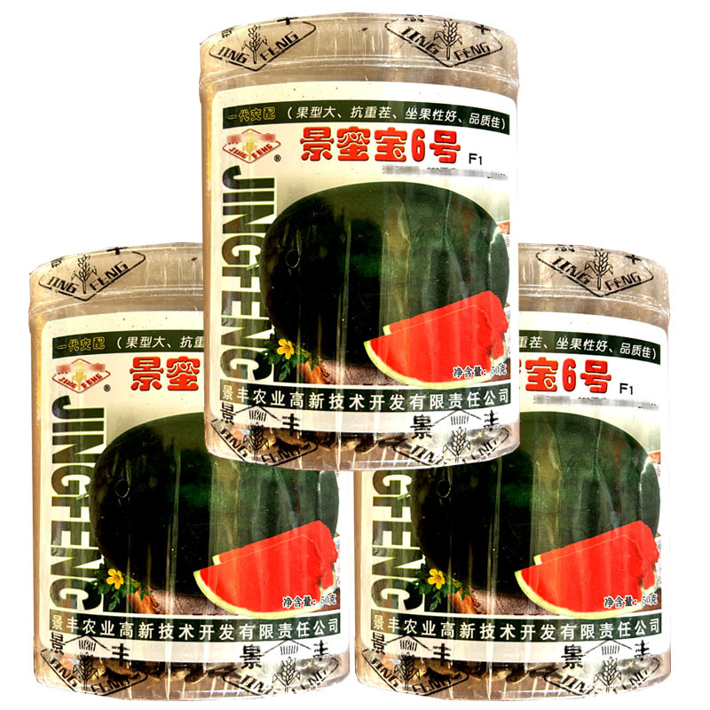 景蜜宝6号西瓜种子抗重茬西瓜籽75克花皮大红瓤种子