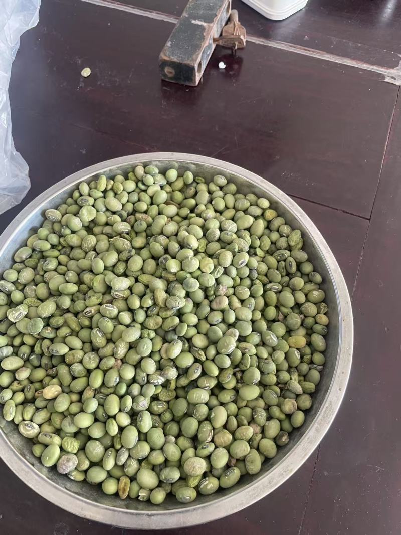 绿皮绿心黄豆大量现货供应（诚信经营）可视频看货价格可谈