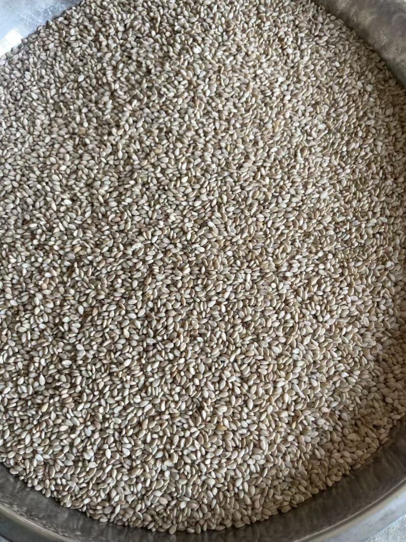 芝麻品质保证大量供应（价格可谈）视频看货量大从优代发全国