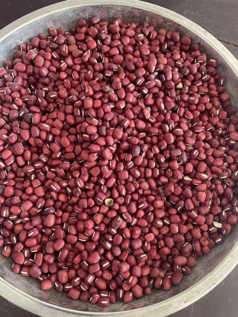 赤豆红豆基地直发（一手货源）量大从优，欢迎来电洽谈合作