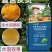 中量元素水溶肥（鱼蛋白钾钙镁锌硼铁）