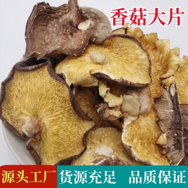 【商用香菇大片】香菇干货批发薄大片碎片香菇碎片大个新货散