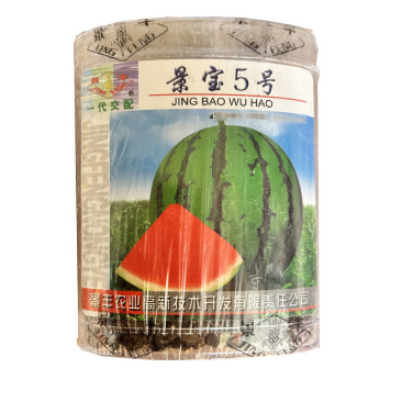 景宝5号西瓜种子中早熟甜度高皮薄耐裂大红瓤基地品种