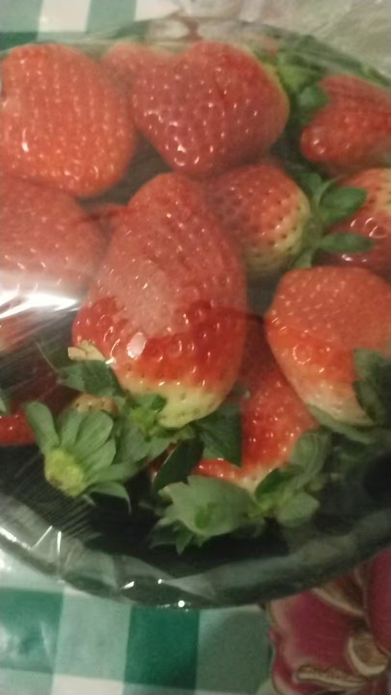 陕西精品奶油草莓大量上市产地直发价格优惠欢迎来电
