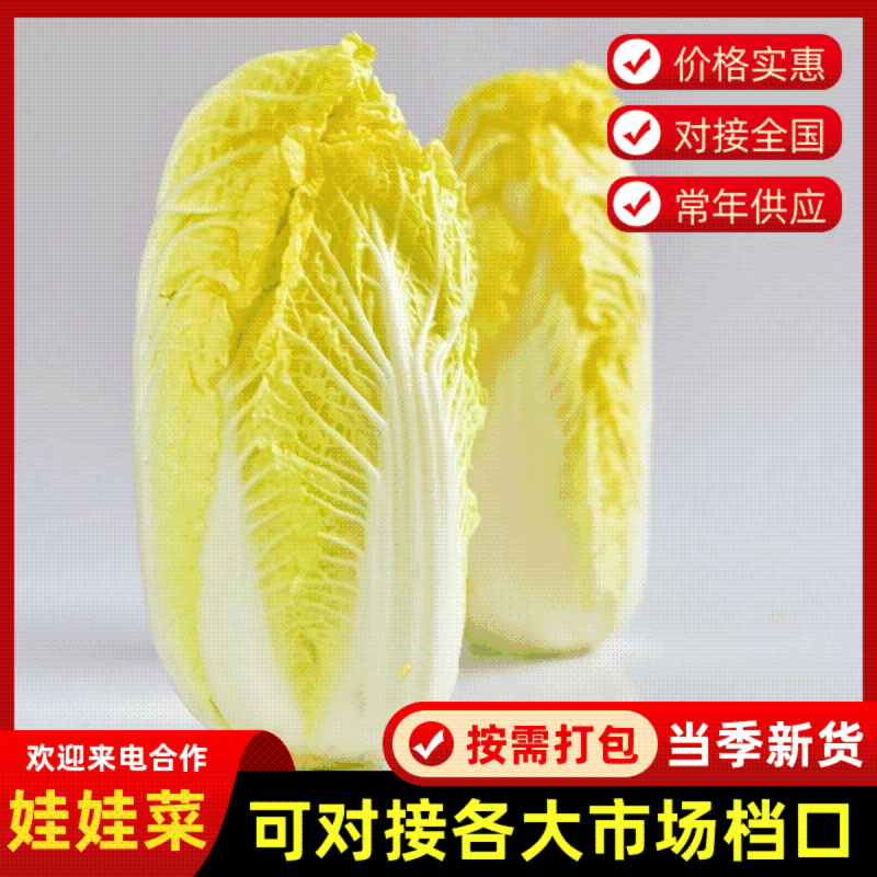 《畅销娃娃菜》电商社团市场商超外贸出口，农户一手货