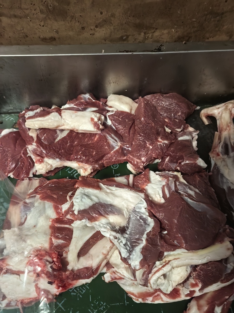 内蒙古草伺黄牛肉***