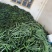 密刺黄瓜大棚黄瓜，基地直供精品发货质量保证