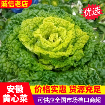 怀远县黄心菜原产地一手货源对接市场，电商，社区团购！