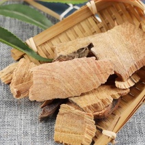 松节黄松木节油松节松郎头松节老松枝中药松木节油松节