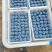 山东蓝莓批发精品L25F6L11优瑞卡云雀等