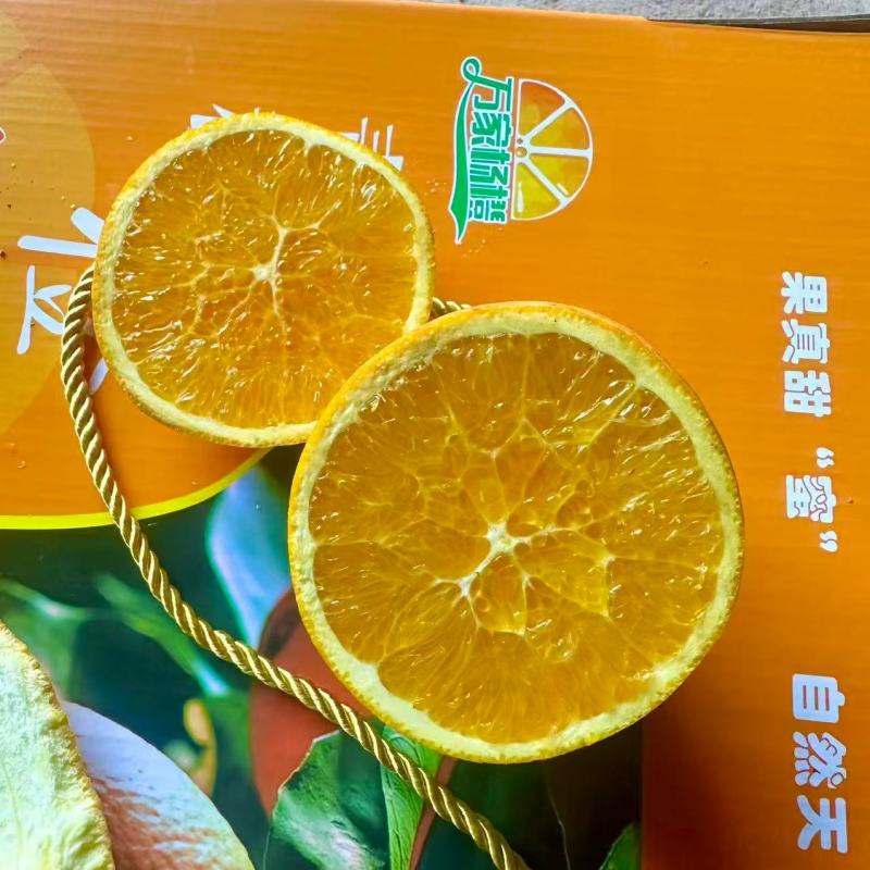 青秋脐橙四川发货基地直发全国对接欢迎进店