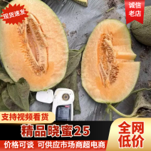 海南哈密瓜，脆甜多汁，有需要联系我，欢迎致电详谈