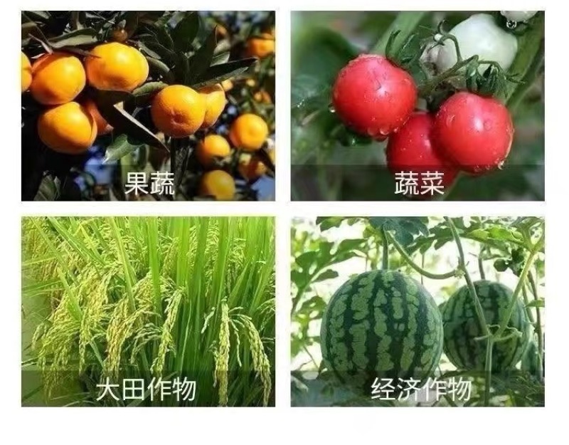 阿胜克菌丹草莓灰霉病保护性杀菌剂农用灰霉病农药