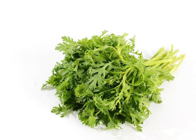 精品茼蒿，大量新鲜现货速发，保质保量欢迎选购