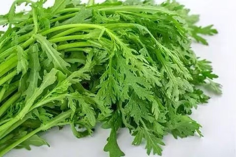 精品茼蒿，大量新鲜现货速发，保质保量欢迎选购