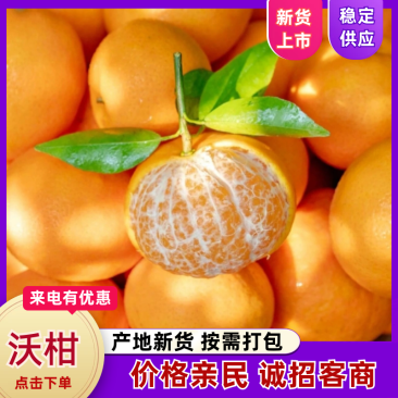 【一件代发】武鸣沃柑淘宝抖音小红书快团团私域电商对接全国