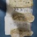 速冻玉米浆玉米浆包今年新货用新鲜玉米搽浆品质好