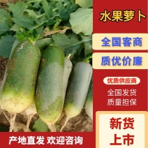 枝江市水果萝卜，大量精品新鲜现货速发，保质保量欢迎选购
