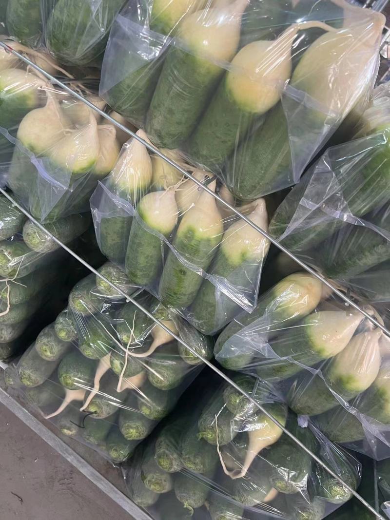 枝江市水果萝卜，大量精品新鲜现货速发，保质保量欢迎选购