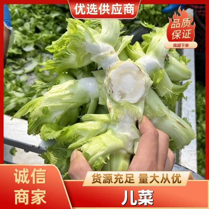 精品儿菜，大量精品新鲜现货速发，保质保量欢迎选购