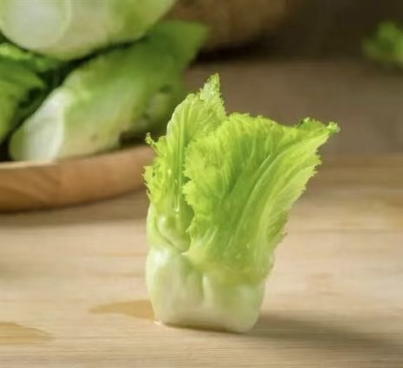 精品儿菜，大量精品新鲜现货速发，保质保量欢迎选购