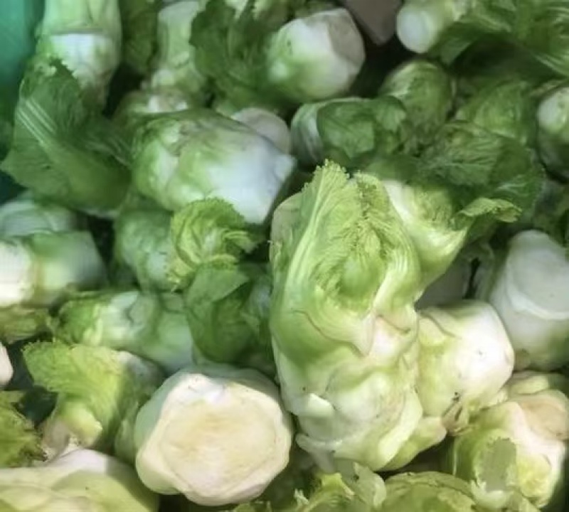 精品儿菜，大量精品新鲜现货速发，保质保量欢迎选购