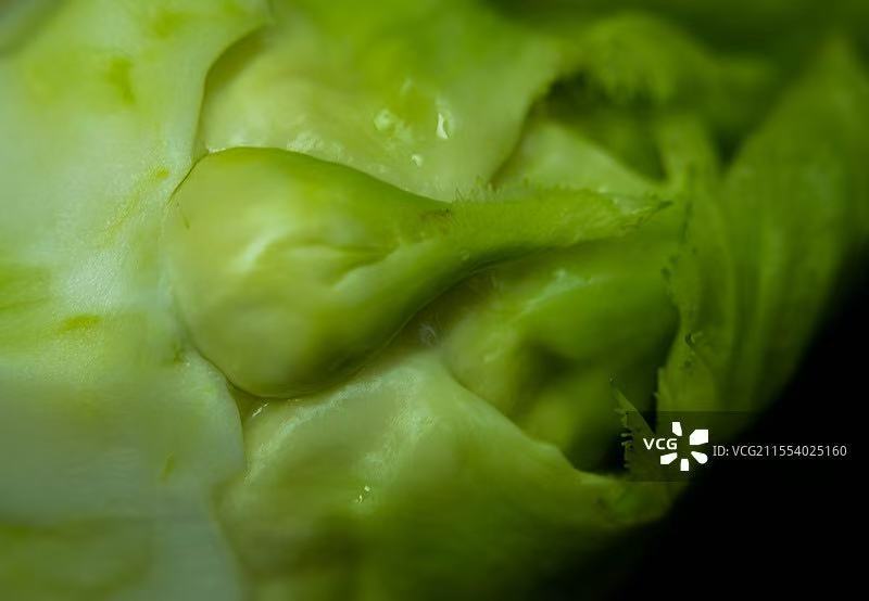精品儿菜，大量精品新鲜现货速发，保质保量欢迎选购