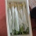 山东寿光精品鲜花丝瓜，产地直供，市场商超电商平台大量供应