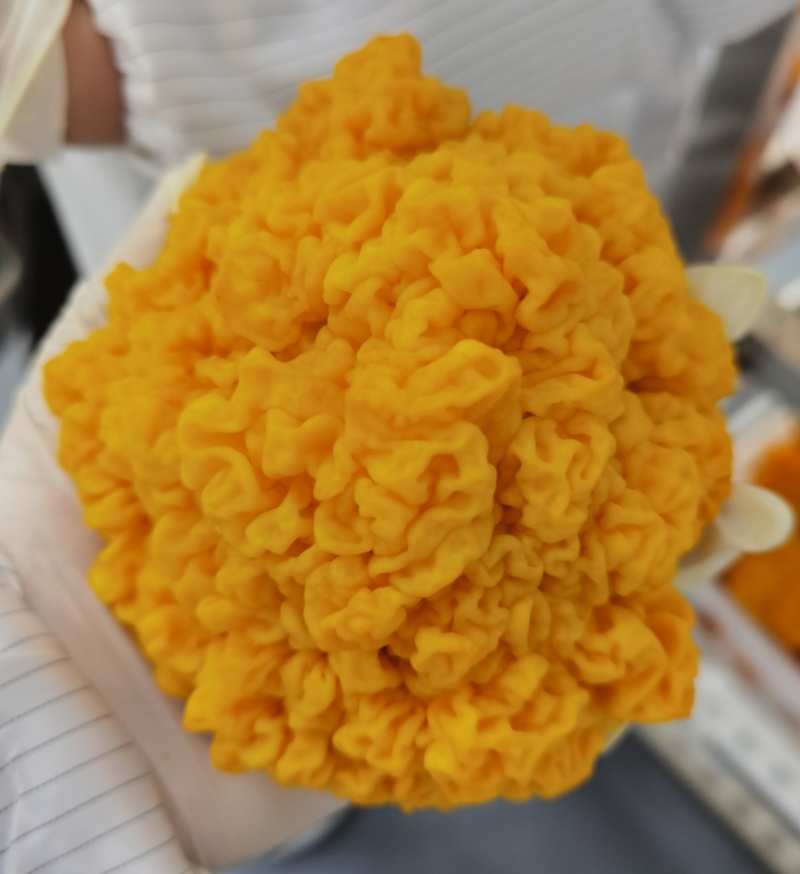 安徽东至鲜银耳金耳散装食用菌