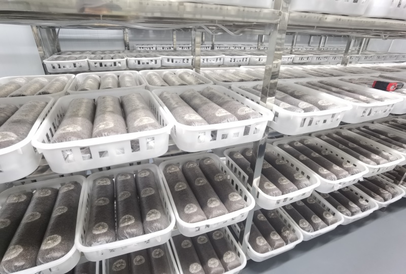 安徽东至鲜银耳金耳散装食用菌