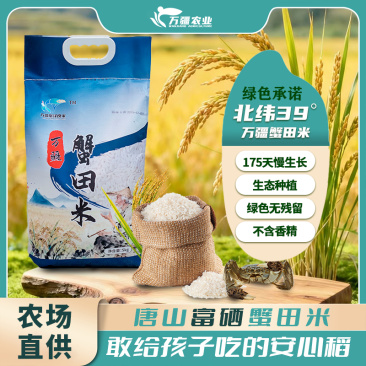 精品蟹田米产地直发对接电商市场商场可零售可批发