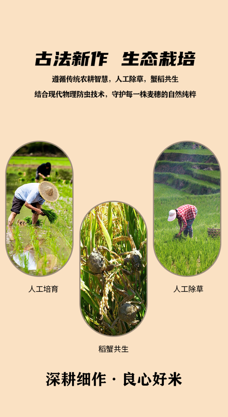 精品蟹田米产地直发对接电商市场商场可零售可批发