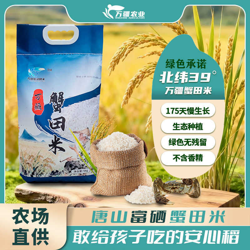 蟹田新米厂家直发一手货源可视频看货欢迎致电
