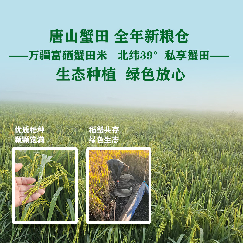 蟹田新米厂家直发一手货源可视频看货欢迎致电