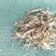 安徽精品小麦秸秆，全国供应，保质保量，量大从优，欢迎选购