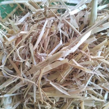 安徽精品小麦秸秆，全国供应，保质保量，量大从优，欢迎选购