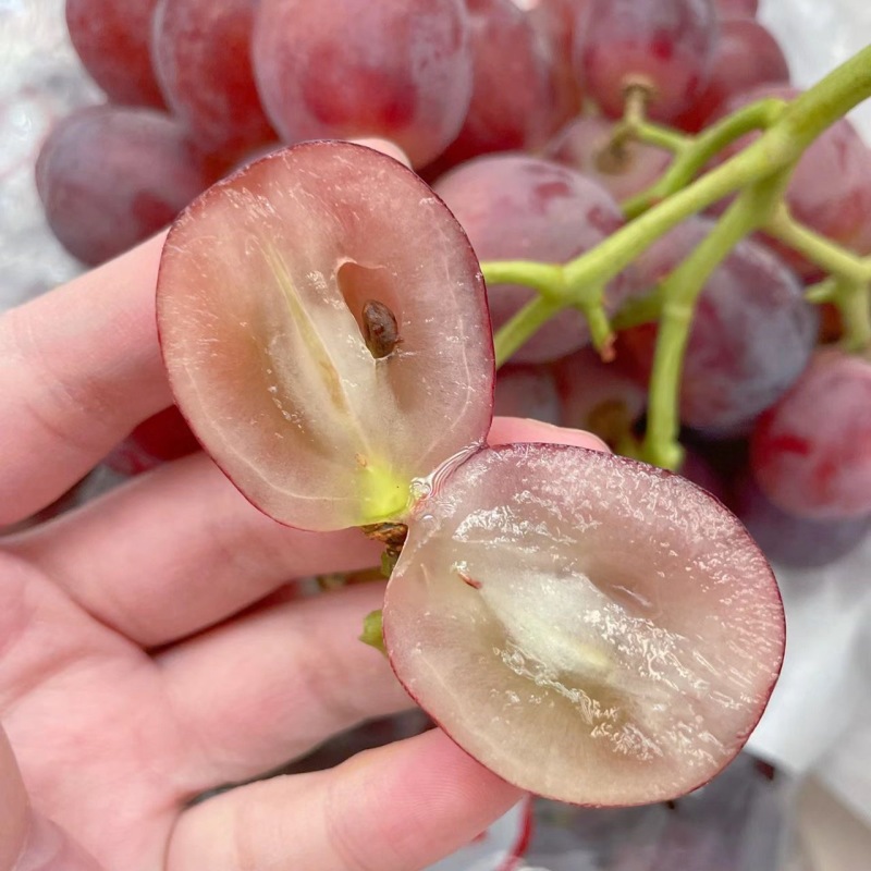精品红提陕西红提葡萄对接电商市场商超可视频