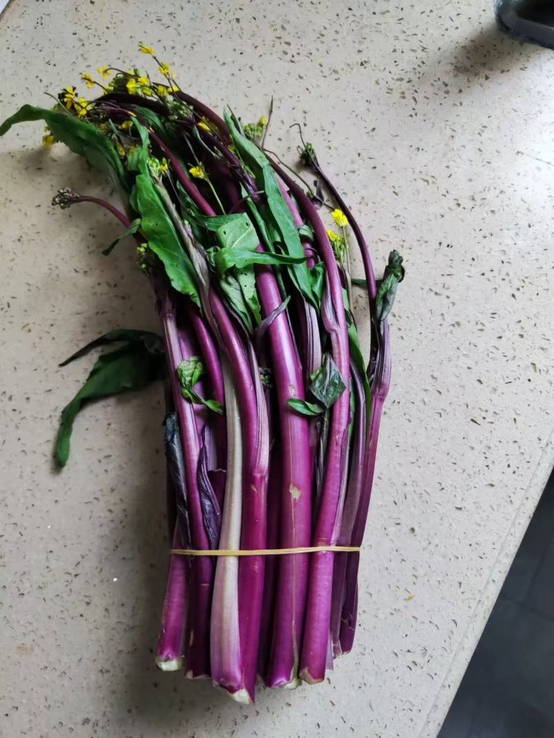 枝江精品红菜苔，大量精品新鲜现货速发，保质保量欢迎选购