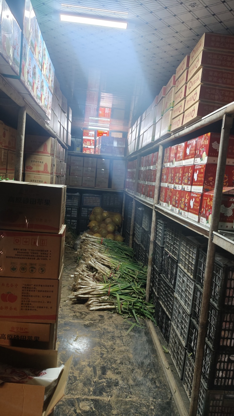 冰糖心光果红富士苹果产地直销一件可发对接全国客商