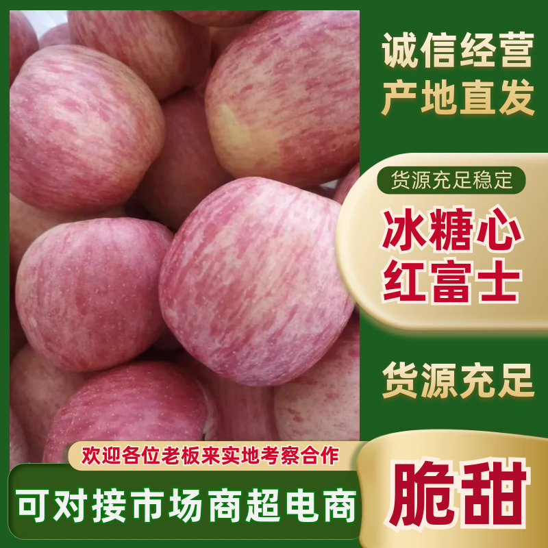 甘肃会宁头寨冰糖心红富士光果批发产地直销量大从优对接
