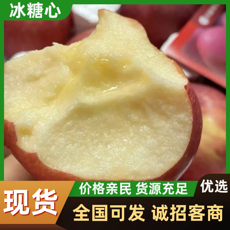 甘肃会宁头寨冰糖心红富士光果批发产地直销量大从优对接