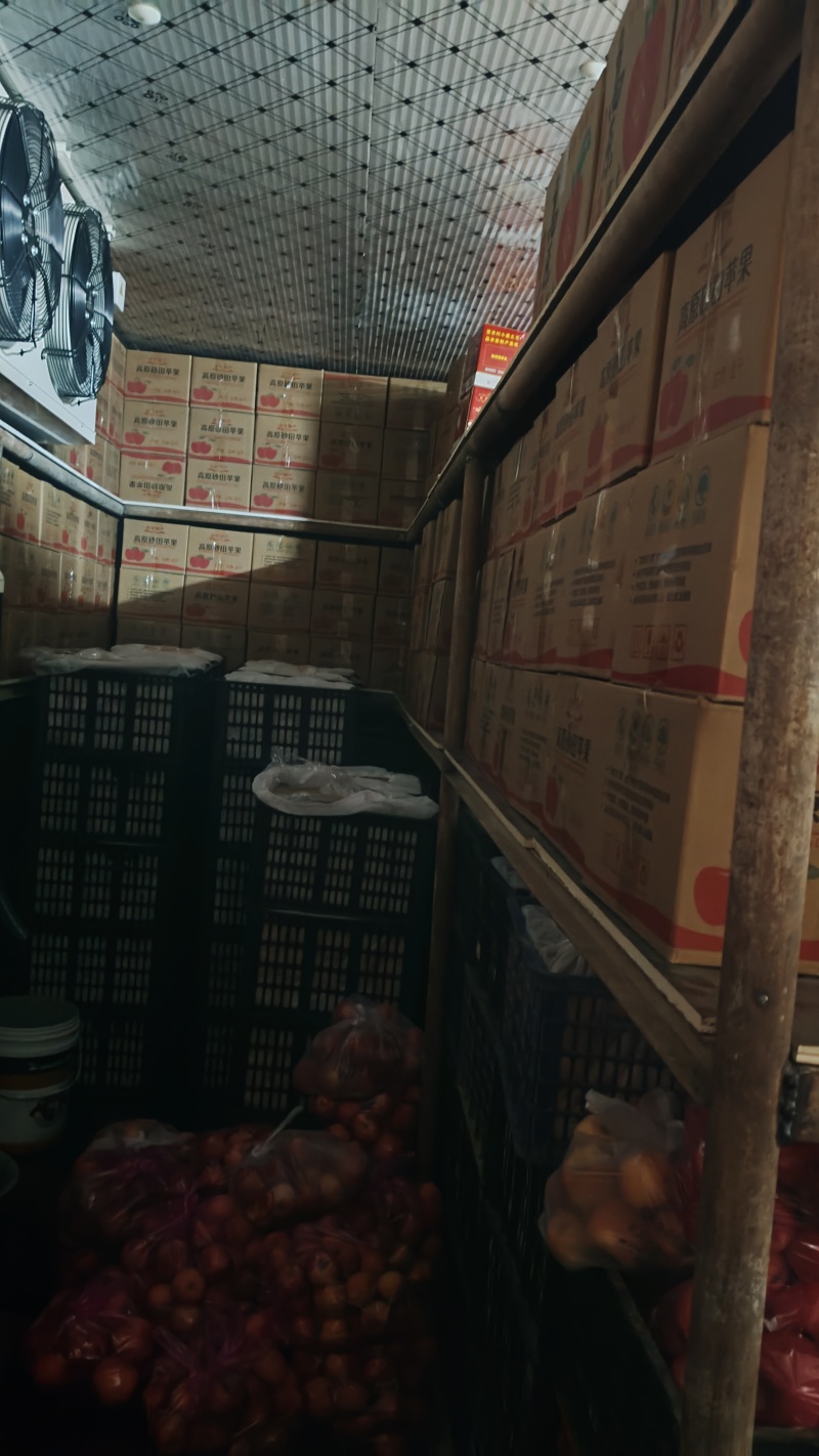 红富士苹果套代冰糖心产地直销一件可发可视频看货对接