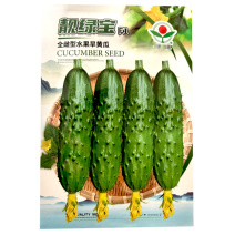 靓绿宝全雌水果旱黄瓜种子早熟翠绿色刺瘤大瓜条圆简形