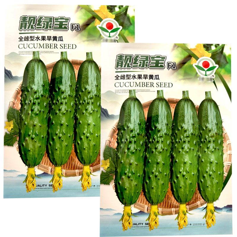 靓绿宝全雌水果旱黄瓜种子早熟翠绿色刺瘤大瓜条圆简形