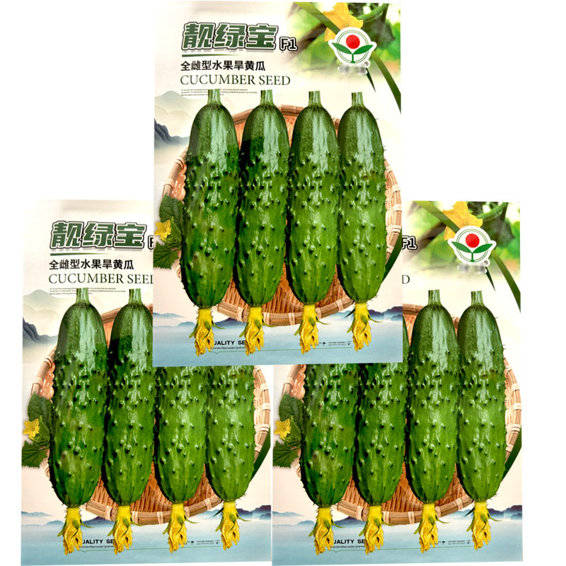靓绿宝全雌水果旱黄瓜种子早熟翠绿色刺瘤大瓜条圆简形
