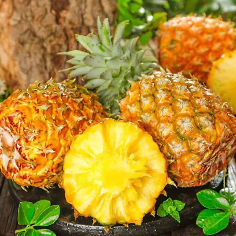 广西精品菠萝香水菠萝种植基地直发对接商超档口一件代发