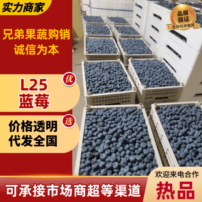 花香蓝莓L25L11优瑞卡云雀f6全国发货