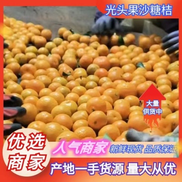 广西光头果沙糖桔精品砂糖橘货源充足量大从优欢迎联系