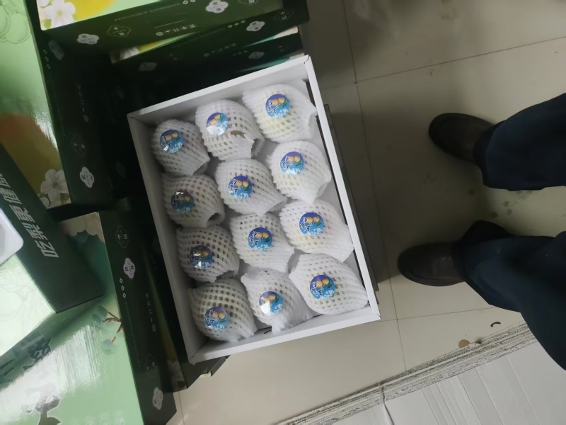 玉露香梨
